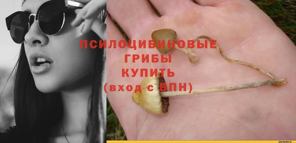 шишки Абдулино