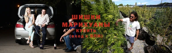 шишки Абдулино
