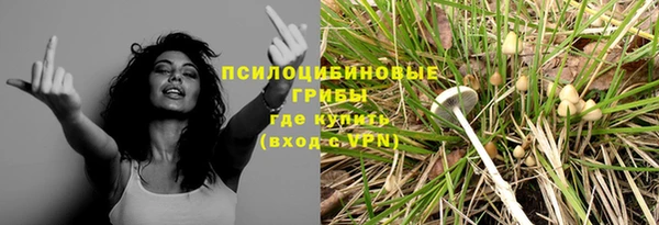 spice Абинск