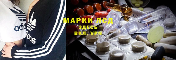 ГАЛЛЮЦИНОГЕННЫЕ ГРИБЫ Алзамай