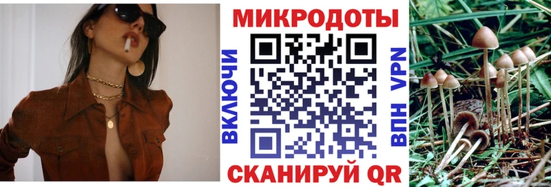 где можно купить наркотик  Никольск  площадка какой сайт  Псилоцибиновые грибы Cubensis  блэк спрут сайт 