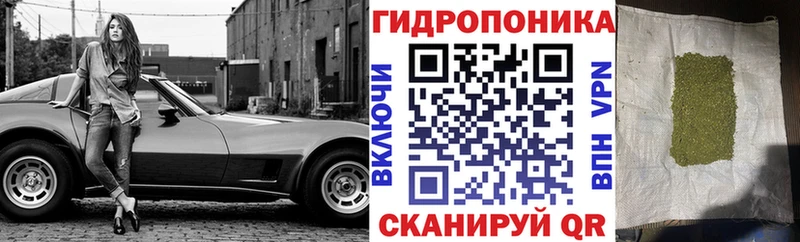 где можно купить   Никольск  даркнет состав  Марихуана тримм 